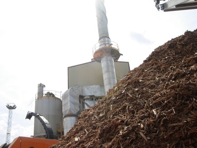 La Junta de Andaluca incentiva en Almera ms de 1.600 proyectos de biomasa con 2,5 millones de euros