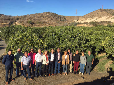 El PSOE pide al Gobierno que proteja a los productores almerienses de ctricos de las importaciones sudafricanas