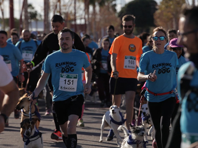 Ms de 300 participantes en la Running With Dog, la primera carrera popular con perros de Almera 