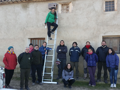 La Junta realiza labores de mantenimiento de nidales de cerncalo primilla con la colaboracin de voluntarios ambientales