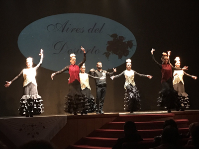 Noticia de Almería 24h: Las Escuelas de Baile de Tabernas, Pechina y Viator se unen en el Certamen “Aires del Desierto”