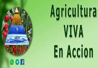 Somos la voz del Campo Asociacin Agricultura Viva en Accin