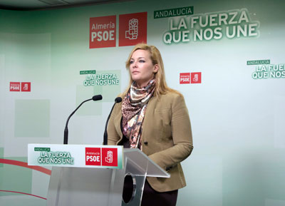 Noticia de Almería 24h: El PSOE critica que el PP se saque ahora “de la manga” cien mil euros para los presupuestos sin informes previos 