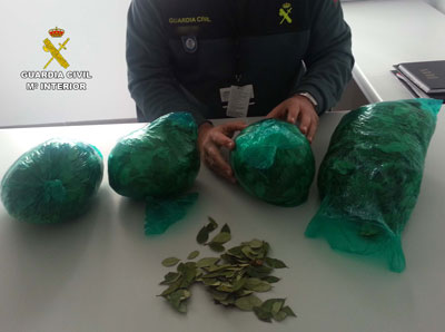 Intervienen en el aeropuerto ms de kilo y medio de hojas de coca procedentes de Bolivia