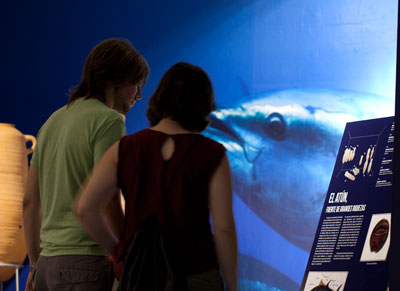 La exposicin Un puente de mar azul del Museo de Almera recibe ms de 35.000 visitas