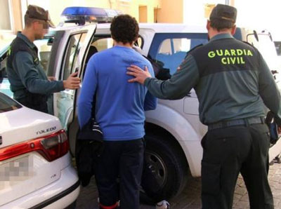 Noticia de Almería 24h: Un detenido por robar en un invernadero del Poniente