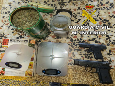 Noticia de Almera 24h: Dos detenidos en Pechina que cultivaban ms de 200 plantas de marihuana en una habitacin