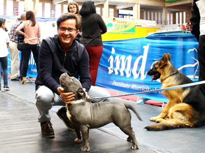 La V Exposición Canina Internacional ha convertido hoy a El Ejido en la capital mundial de la cinofilia 