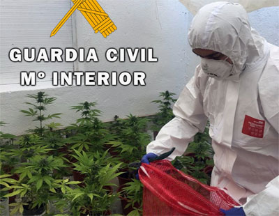 Noticia de Almería 24h: Tres detenidos en Carboneras con una plantación de marihuana en una vivienda