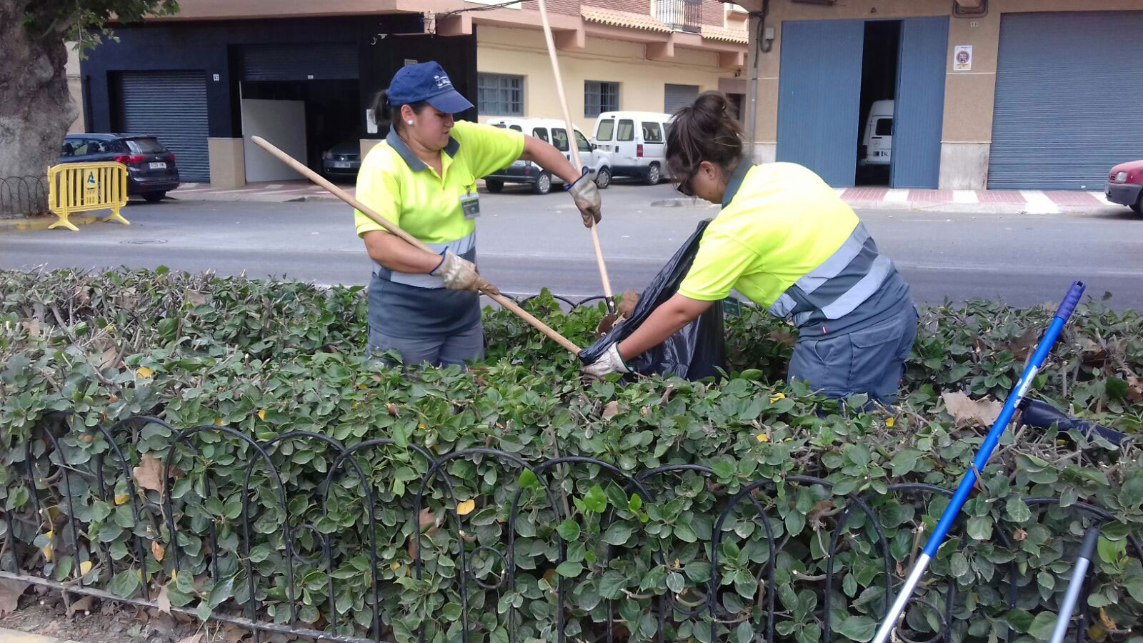 Trabajos de jardinera en la Carretera N-340 entre la Rotonda del Agricultor y el ncleo urbano