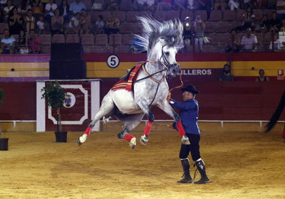 Noticia de Almera 24h: Caballos al comps de la msica