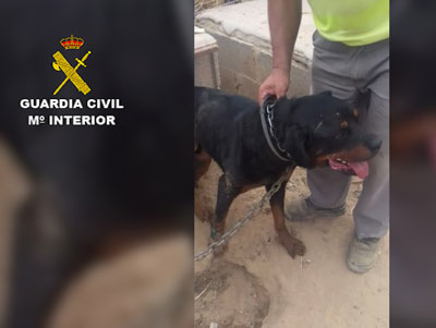 Noticia de Almera 24h: Maltrato animal a siete perros en una finca de Sorbas