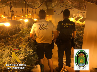 Noticia de Almera 24h: Dos detenidos por cultivar ms de 600 plantas de marihuana en una vivienda de Almerimar