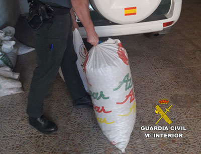 Noticia de Almería 24h: Roban más de setecientos kilos de almendra en la Comarca del Alto Almanzora