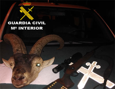 Noticia de Almería 24h: Varios furtivos son sorprendidos con una cabeza de macho montes recién abatido en Tabernas