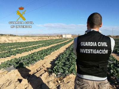 Noticia de Almería 24h: la Guardia Civil esclarece el robo en  una explotación agrícola y detiene a los autores 