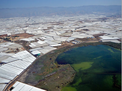 La Junta inicia la licitacin de la revisin del Plan de Ordenacin del Territorio del Poniente Almeriense