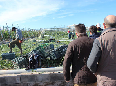 Noticia de Almería 24h: El consejero de Agricultura visita las zonas de invernadero afectadas por el tornado en Almería