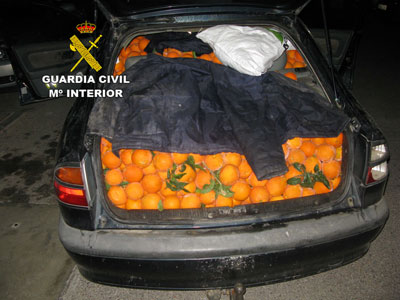 Roba 800 kilos de naranjas y es detenido en la A-7 con su vehiculo invadiendo ambos carriles de la va y a velocidad anormalmente reducida