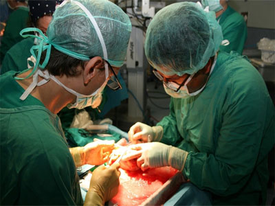 Los 19 donantes registrados en 2017 en Almera han permitido realizar 38 trasplantes de rganos