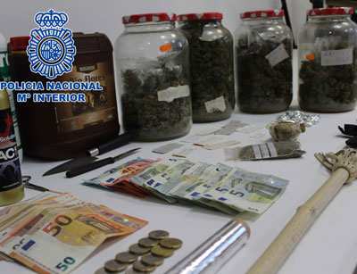 Nuevo golpe al trfico de drogas en Almera con 400 plantas de marihuana incautadas 