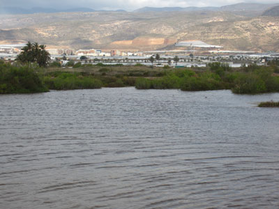 Ecologistas en Accin ve un paso ms hacia la proteccin de la Ribera de la Algaida