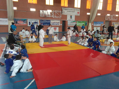 Vcar acoge los Encuentros Educativos de Promocin del Judo de Diputacin