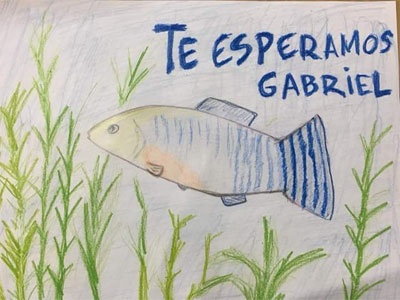Los padres de Gabriel, el nio desaparecido en Njar, piden que Espaa entera se llene de dibujos de peces, tanto en las ventanas como en las redes sociales