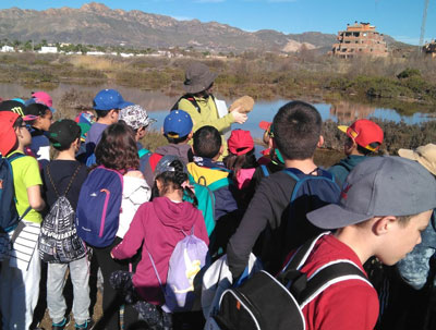 Ms de 300 escolares del Levante participan en actividades de sensibilizacin sobre la conservacin del litoral 