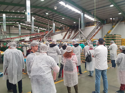 Noticia de Almería 24h: Un grupo de estudiantes alemanes visita El Ejido para conocer su modelo de producción y comercialización agrícola