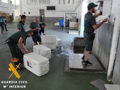 Noticia de Almería 24h: La Guardia Civil interviene 269,8 kilogramos de atunes rojos (Thunnus thynnus) pescados ilegalmente y artes de pesca 