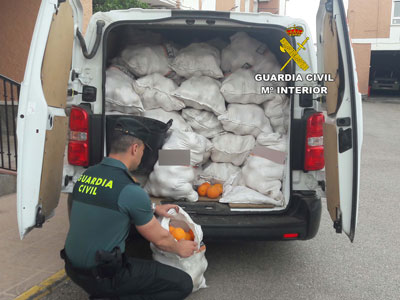 La Guardia Civil recupera ms de 3 toneladas de ctricos y practica 5 detenciones
