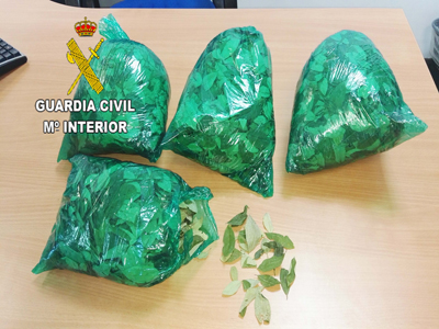 Una pasajera del aeropuerto de Almera lleva ms de un kilo de hojas de coca que asegura son para masticar