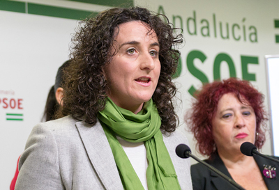 El PSOE reprocha a Amat que no cumpla lo acordado en pleno para defender los derechos del colectivo LGTBI