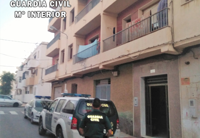 Noticia de Almera 24h: La Guardia Civil interviene 526 plantas de marihuana en una vivienda de Roquetas de Mar 