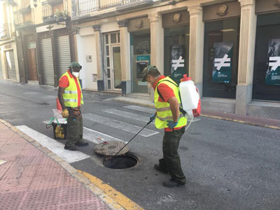 Noticia de Almería 24h: El Ayuntamiento de Berja culmina el plan de desinsectación y desratización del municipio