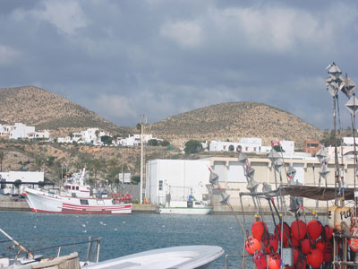 Noticia de Almería 24h: La Junta destina 118.000 euros a la flota de palangre de superficie de la provincia para la paralización temporal de la actividad 