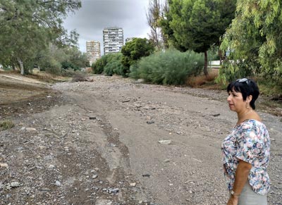 Noticia de Almería 24h: IU recupera su propuesta de un nuevo proyecto para la rambla de San Antonio de Aguadulce