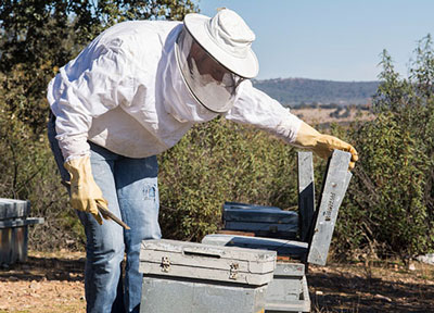 Los productores de miel dan la voz de alarma ante un panorama desolador