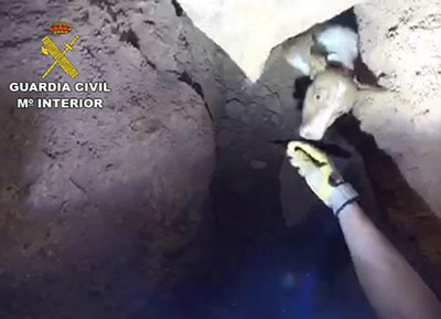 Noticia de Almería 24h: La Guardia Civil localiza y rescata a un perro perdido en el interior de una cueva en Turre