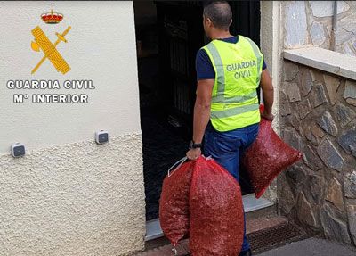 Noticia de Almería 24h: Una rocambolesca situación con intentos de huída y falsas denuncias acaba con tres detenidos