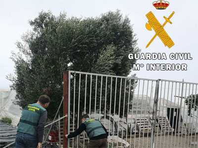 Noticia de Almería 24h: La Guardia Civil detiene a una persona por el  robo con fuerza en grado de tentativa en un invernadero
