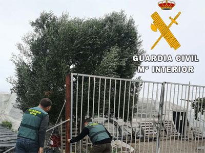 Noticia de Almera 24h: La Guardia Civil detiene a una persona por el  robo con fuerza en grado de tentativa en un invernadero