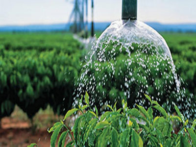 Góngora respalda un Pacto Nacional por el Agua para garantizar los trasvases y el futuro del sector agrícola