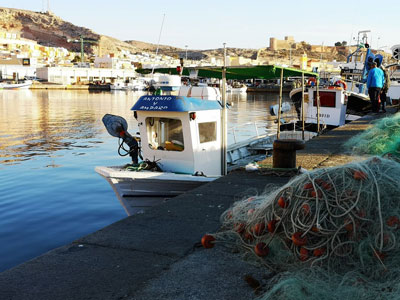 Noticia de Almera 24h: El Puerto de Almera acondicionar el fondeadero pesquero para mejorar la seguridad, la eficiencia energtica y la comercializacin