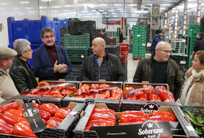 Noticia de Almería 24h: Manuel Cortés reitera su apoyo al sector agrícola como motor de empleo y crecimiento