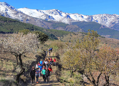 Noticia de senderismo en Almera 24h: Abla se reencuentra con su flor del almendro el domingo 3 de marzo 