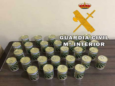 Noticia de Almería 24h: Detectan contrabando de semillas de calabacín en el puerto de Almería