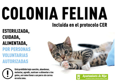 Noticia de Almera 24h: IU Njar logra una Ordenanza de Proteccin Animal que protege las colonias de gatos