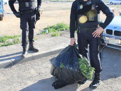 La Policía Nacional incauta 40 kilogramos de marihuana en una vivienda de El Ejido